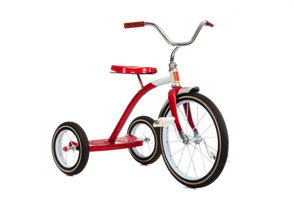 Tricycle Assembly in Snohomish